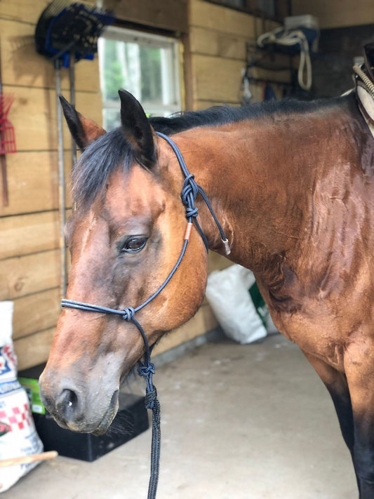 Stiff Rope Halter - LARGE HORSE SIZE